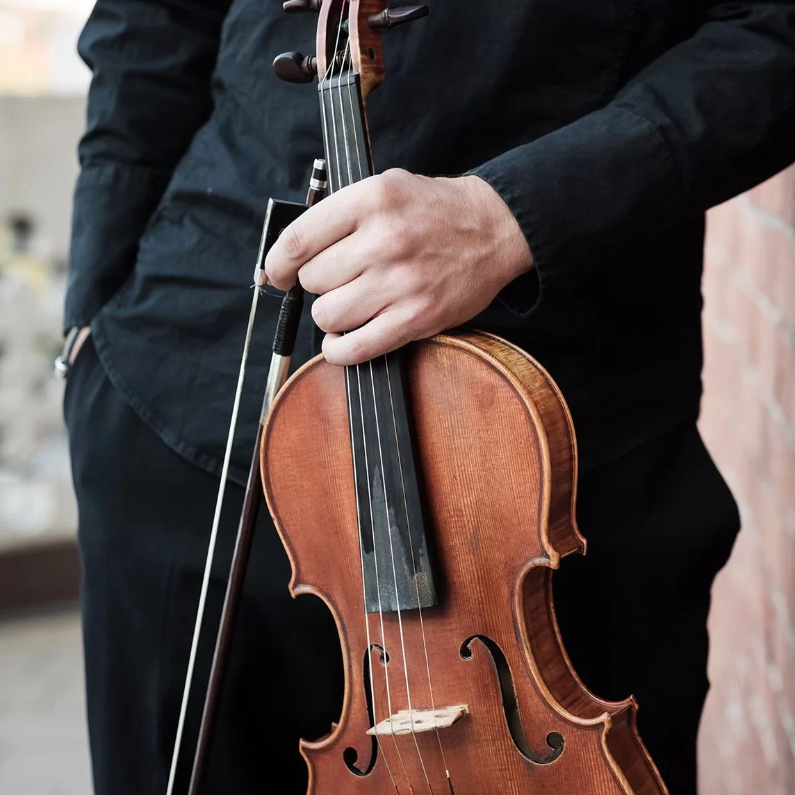 Violino